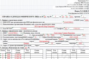 नागरिकता कोड: वे क्या हैं और उन्हें कहां पाया जा सकता है प्रमाणपत्र 2 व्यक्तिगत आयकर में रूसी नागरिकता कोड