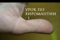 Başparmak el falı üzerindeki işaretler Sağ elin baş parmağındaki çizgiler