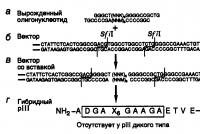 Baltymų inžinerija Naujo rekombinantinio vieno domeno antikūno, kuris specifiškai jungiasi prie žmogaus TNF, bet neblokuoja jo biologinio aktyvumo, gamyba ir apibūdinimas